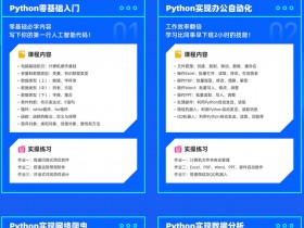  Famous teachers create a Python skill course that workers must learn