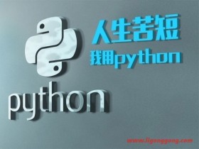  Collection of programming technologies (Python, Java, data analysis and SPSS, IOS development, AI development) 500G
