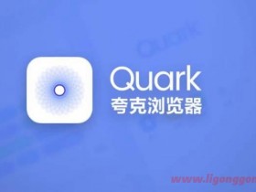  Quark Quark Browser v6.7.3.411 Cool Edition/built-in black technology browser software