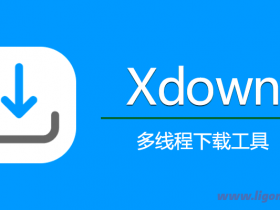  Xdown (multi-function download) v2.0.8.6 green version idm/torrent/Baidu Cloud