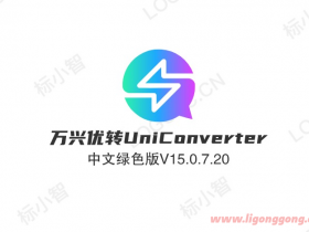  Wanxing Youzhuan UniConverter Chinese cracked version v15.5.11.10