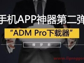 Multi thread download application ADM Pro v14.0.25 professional direct installation version