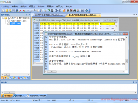 高级文本编辑器(PilotEdit Lite)18.8.0中文绿色精简版