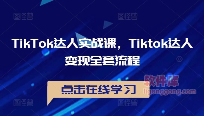 TikTok达人实战课，Tiktok达人变现全套流程