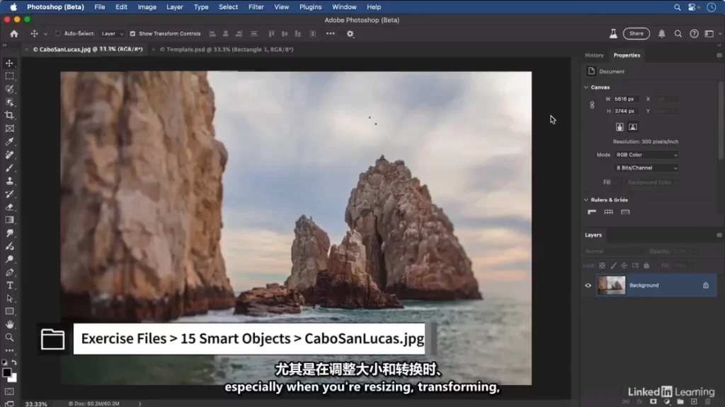 Photoshop 2025 全面核心技术训练教程